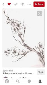 Black And White Cherry Blossom Tree Tattoo Pin By Glenda Tucker On All Art Cherry Blossom Drawing Blossom Tree Tattoo Flower Drawing