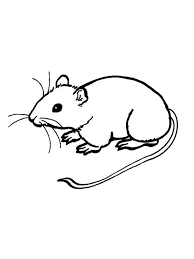 Mouse Eating Cheese Coloring Page Mouse Are Animals That Have Characteristics On Animal Coloring Pages Minnie Mouse Coloring Pages Mickey Mouse Coloring Pages
