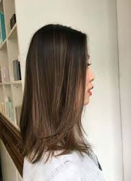 Hair Color Asian Straight Short Hairstyles 34 Ideas Balayage Straight Hair Hair Color Asian Black Hair Balayage