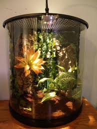 Enclosure Terrarium Pictures Page 82 Tarantula Enclosure Terrarium Reptile Tank