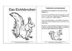 Diese könnt ihr als grundlage für eigene steckbriefe nutzen. Unterrichtsmaterial U Arbeitsblatter Fur Die Grundschule Grundschulmaterial De