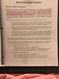 Lift where you stand a new building filled with social. Solved Analysis Of Human Pedigrees Part One Mode Of Inh Chegg Com