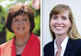 Articles filed under Forest Preserve Districts