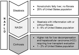 We did not find results for: Spectrum Of Nonalcoholic Fatty Liver Disease Nafld Ranging From Download Scientific Diagram