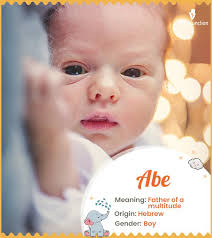 Abe Name Meaning, Origin, History, And Popularity