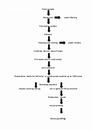 Tomato Ketchup Process Flow Chart Diagram