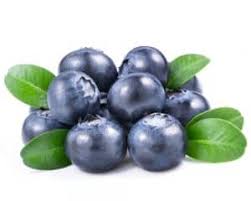 Actually, carbs (the primary macronutrient in a muffin) aren't even part of a cat's nutritional needs. Can Cats Eat Blueberries 4 Reasons Why Its The Best Treat