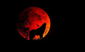 Află care e zodia cea mai norocoasă. Aceste 5 Zodii Sunt Cele Mai Afectate De Eclipsa Totala De Luna Plina Sangerie A Lupilor Sfatulparintilor Ro