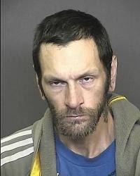 Truesee's Daily Wonder