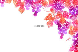 秋色のぶどうの背景：イラスト無料