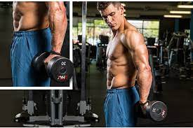 Lower the weights back to the starting position. How To Build Monster Forearms