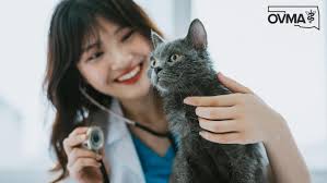 Mississippi Veterinary Medical Association Dr. Larry Mayberry of Brandon  passed away at the hospital