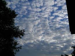 E saltellando tomba dopo tomba, vidi una bionda, mamma mia che bionda, era il fantasma della zia gioconda, che ripuliva la sua tomba nera e fonda. Foto Meteo Cielo A Pecorelle Acqua A Catinelle 3b Meteo