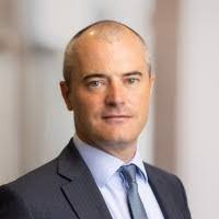 400+ "✽ Turtle" profiles