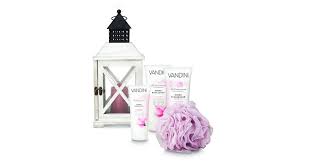 Simplify the business of selling. Vandini Geschenkset Laterne Nutri 1set Gunstig Kaufen Coop Ch