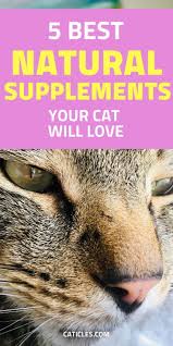 Cat's must always get the bulk of their nutrition from commercial pet food as they have very particular requirements cats can also get bored at mealtimes and tend to like variety in their meals. Supplements For Cats With Dry Skin And Home Remedies That Work Cat Supplements Cat Skin Coconut Oil For Cats