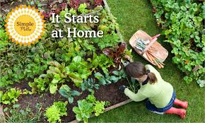 The benefits can range from keeping active around start small and grow. Simple Mills Will Help Foot Your Bill To Start An Organic Garden At Home Business Wire