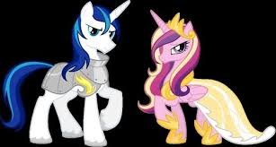 My Little Pony Wedding Of Princess Cadence And Shining Armor For The Fall Wedding Of Princess Cadence Who Do You Think The Voices Of Shining Armor And Princess C My Little Pony My Little Pony Friends All My Little Pony