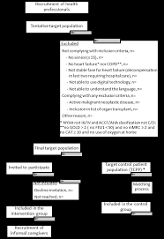 Assessment of the Effectiveness, Socio-Economic Impact and Implementation  of a Digital Solution for Patients with Advanced Chron