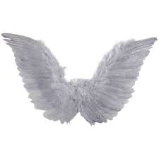 Black And White Angels Costume Grey Feather Wings Hot Topic 13 Sgd Liked On Polyvore Featuring Costumes Fillers Wings Accessories Angel Wings Png Feather Wings Black Feather Meaning