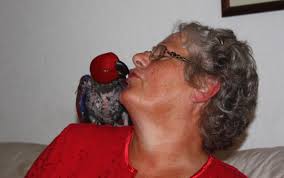 What I did last summer, and why I'm talking about it now