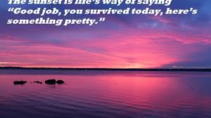 Jika ini kurang cocok silahkan pilih. 29 Kata Senja Quotes Sunset Bahasa Inggris Dan Artinya Arti Kata