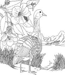 Search through 623,989 free printable colorings at … Dibujo De Gansos Y Pajaroshibiscos Del Estado De Hawaii Y Flor Para Colorear Dibujos Para Col Bird Coloring Pages Animal Coloring Pages Flower Coloring Pages