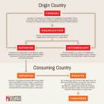 Supply Chain Flow Chart Diagram Process Ppt Manufacturing