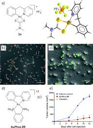 Gold Complexes in Anticancer Therapy: From New Design Principles to  Particle‐Based Delivery Systems - Moreno‐Alcántar - 2023 - Angewandte  Chemie International Edition - Wiley Online Library