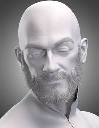 Louie Beard and Brows for Genesis 9 and 8.1 Male