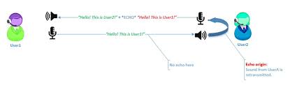 I hear their voices just fine and no echo from my own voice. Users Hear An Echo When Making A Call Using Skype For Business