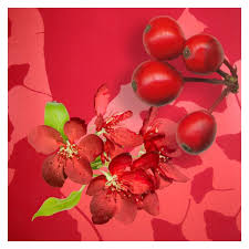She Saw Red Meaning I Had Angered Lots Of People Really You Have Got To Be Kidding Me Red Meaning Red Clothes Design
