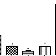 Image result for Amblygonocarpus