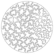 Nervous system puzzles and jewelry. Generative Jigsaw Puzzles By Nervous System