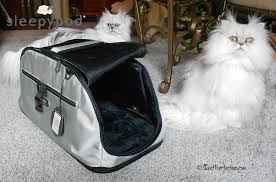While the manufacturer believes that tufting the velcro (opening and closing the connection several times) will fully resolve. Sleepypod Air Carrier Sweet Purrfections