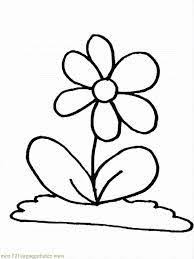 Berbagai berita terkait gambar bunga matahari hitam putih untuk kolase dan. 900 Gambar Kolase Ideas Seed Art Seed Craft Seed Art For Kids