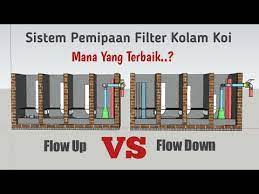 Bagi ikan koi, chlorine merupakan zat yang sangat berbahaya bagi kelangsungan hidupnya. Pin Di Kolam Ikan