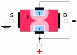 Check spelling or type a new query. Jfet Homofaciens