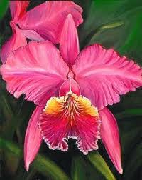 Cataleya Buscar Con Google Beautiful Orchids Cattleya Orchid Unusual Flowers