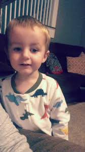 ROAR #fyp #dinosaur #boymom