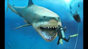 Resultado de imagen de megalodon pelicula