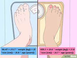 Convert düğmesine basın ve dönüştürmek istediğiniz miktarı yazın. Cara Menghitung Jumlah Kalori Yang Harus Anda Konsumsi Untuk Menurunkan Berat Badan