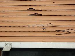 Befindet sich in einer mietwohnung eine zur wohnung gehörende einbauküche (beim einzug ist die küche als ausstattung. Ist Ein Defekter Rollladen Oder Rollladengurt Eine Kleinreparatur