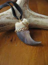 Real Bear Claw Pendant Necklace Wirewrap In Brass On Deerskin Bear Claw Necklace Claw Necklace Bear Claws