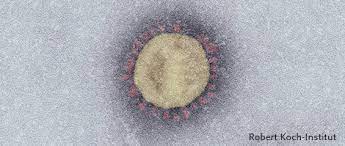 The disease has spread to every continent and case numbers authorities in 219 countries and territories have reported about 142.6 million covid‑19 cases and 3. Rki Covid 19 Covid 19