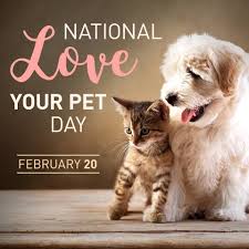 If having a soul means being able to feel love and loyalty and gratitude, then animals are better off than a lot of humans. Kgw Tv Happy National Love Your Pet Day Whether You Facebook