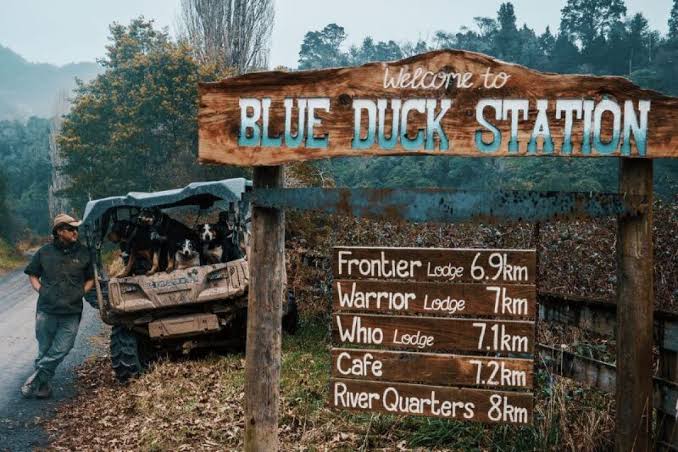 Blue Duck Station pioneers working farm eco-tourism, AI generated