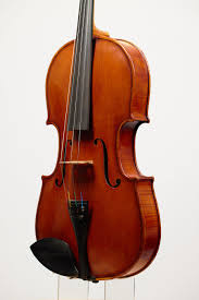 Image result for Viola eminii