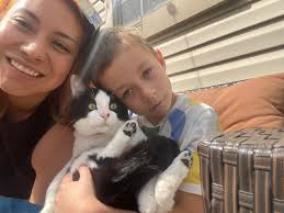 Lost Cat in DuPage County Illinois Near Camden Lane and Middlebury Dr