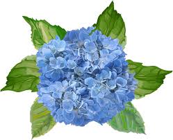 La posizione dei fiori è resa casuale. Sticker Del Fiore Dei Fiori Blu Tenstickers